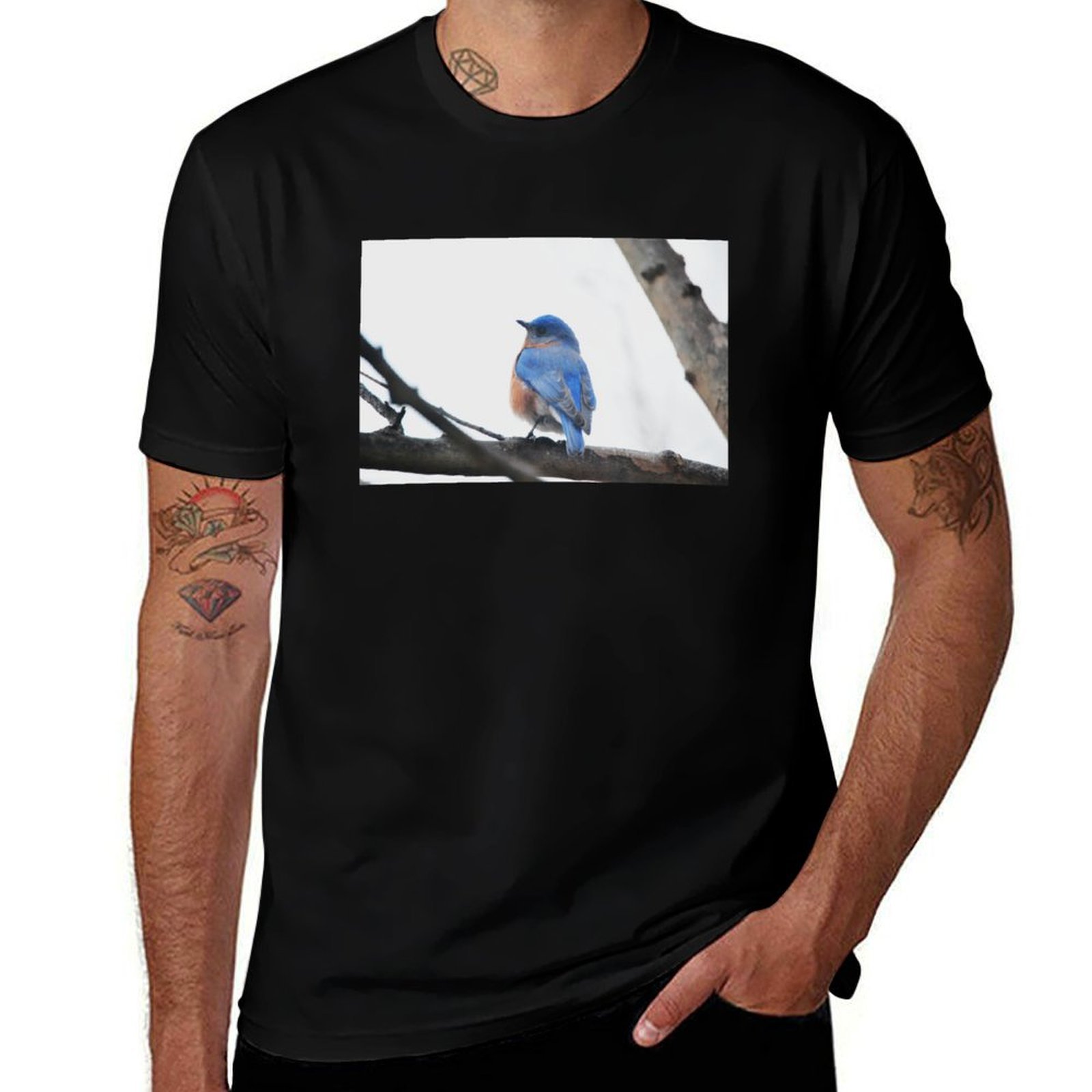 남성용 Eastern Bluebird 자연 사진 티셔츠 - Photography Training 리뷰 및 가격