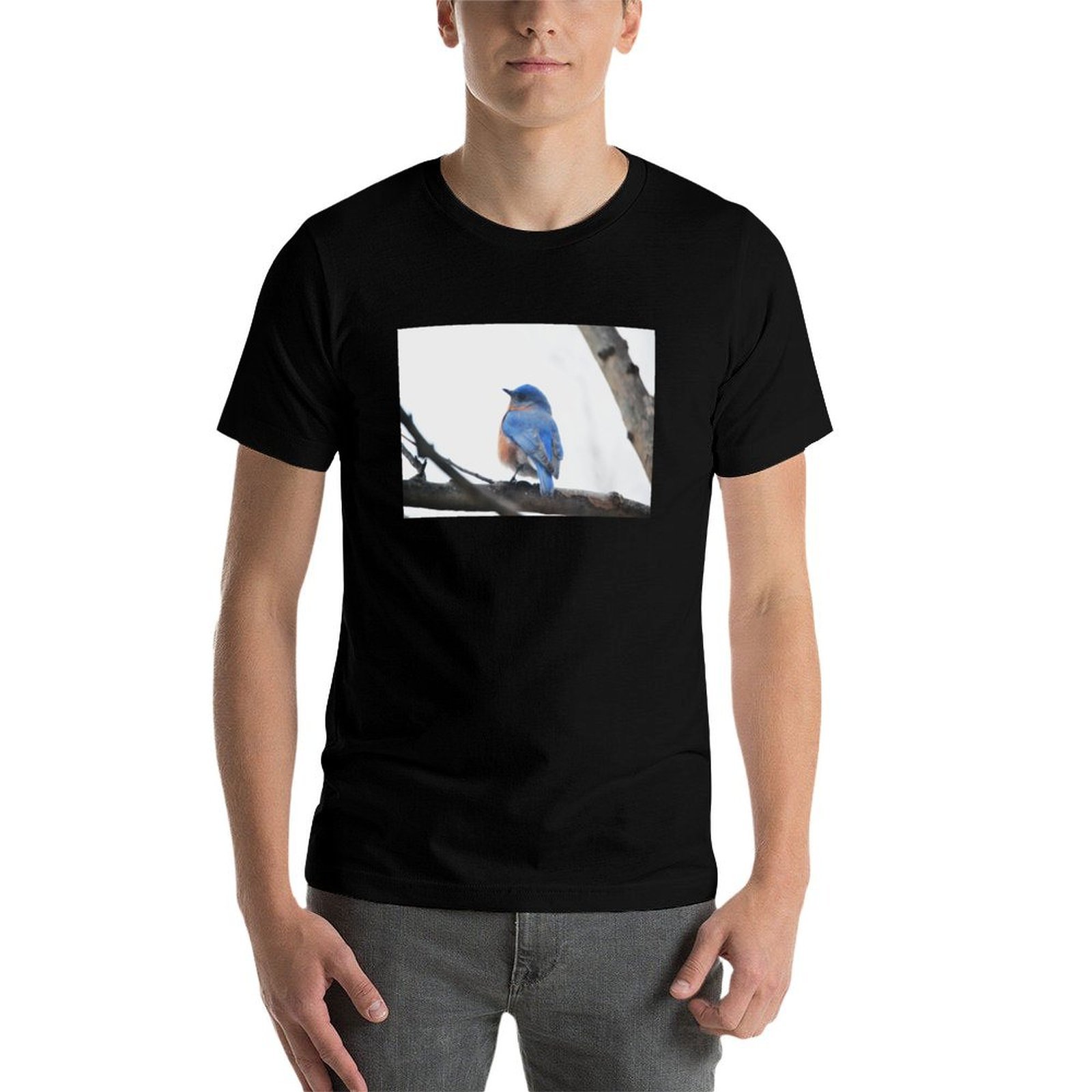 남성용 Eastern Bluebird 자연 사진 티셔츠 - Photography Training 리뷰 및 가격